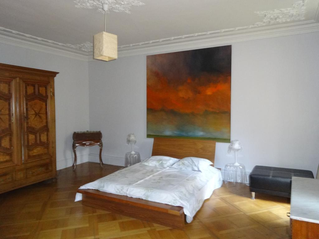 Les Serruriers - Appartement Spacieux Avec Terrasse & Parking Strasbourg Ngoại thất bức ảnh